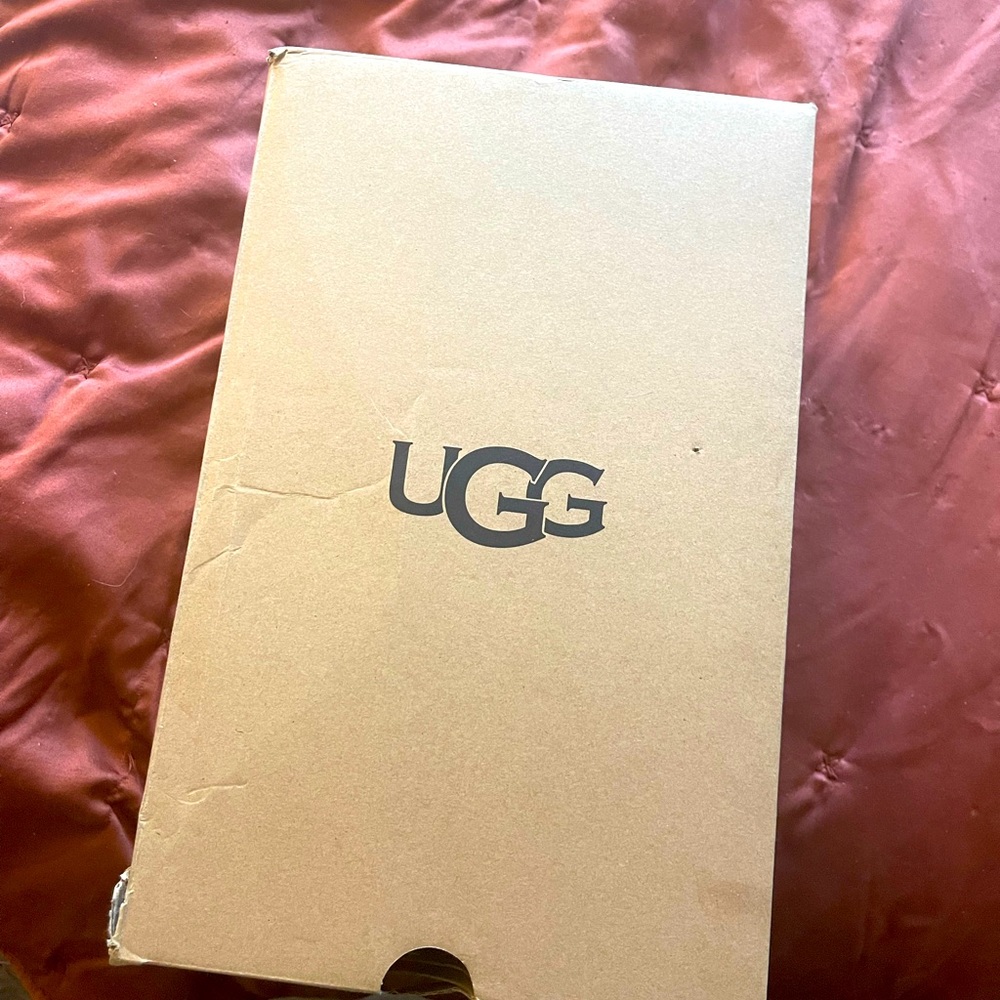 Adorable new in box UGG Tazz Mules! As seen on Gigi Hadid.